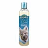 Bio-Groom So-Dirty Shampoo - 12oz -pet supplies sale Bio Groom So Drity Deep Cleansing Shampoo 12 Ounce Front 1 650x650 1