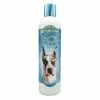 Bio-Groom Crisp Apple Shampoo - 12oz 1 Bio-Groom Crisp Apple Shampoo - 12oz -pet supplies sale Crisp Apple Shampoo 12oz Front Cap Corrected