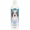 Bio-Groom Groom 'N Fresh Shampoo-12oz -pet supplies sale Groomnfreshshampoo
