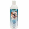 Bio-Groom Natural Oatmeal Shampoo-12oz -pet supplies sale NaturalOatmeal12oz