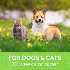 Tropiclean Lime & Coconut Deodorizing Pet Spray-8oz -pet supplies sale lznladd5x1lwob76okhv 7afdc296 a938 4ded 9d9a 143c7c308a03