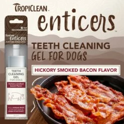 Tropiclean Teeth Cleaning Gel For Dogs –Hickory Smoked Bacon Flavor-2oz -pet supplies sale ptwx35broeaswhblypb8 scaled 1